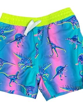 Chubbies Swim Trunks